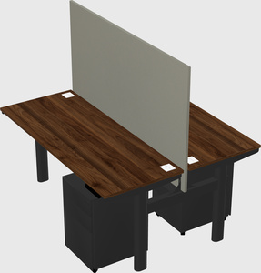 Shared electric desk