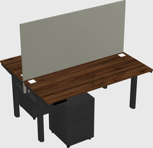 Shared electric desk