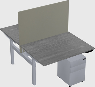 Shared electric desk