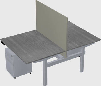 Shared electric desk
