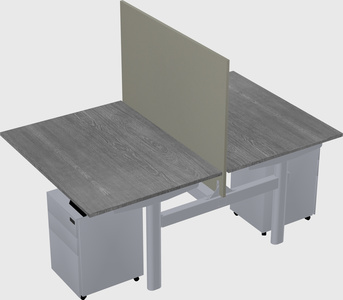 Shared electric desk