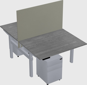 Shared electric desk