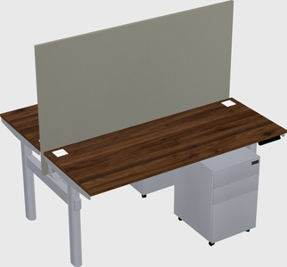 Shared electric desk
