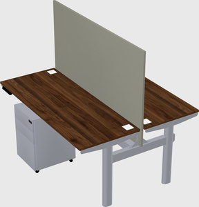 Shared electric desk