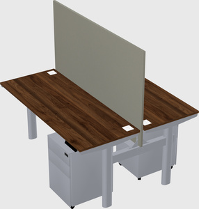 Shared electric desk