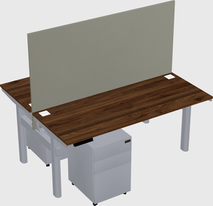 Shared electric desk