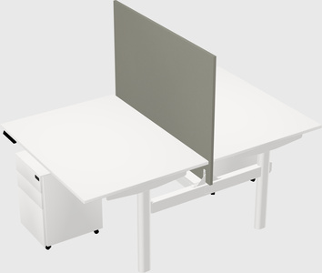 Shared electric desk