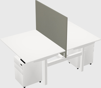 Shared electric desk