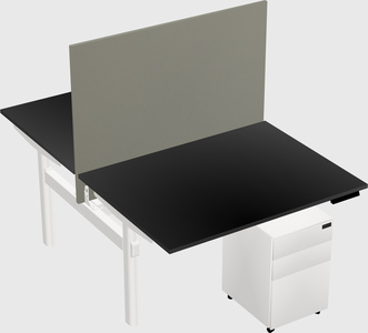 Shared electric desk