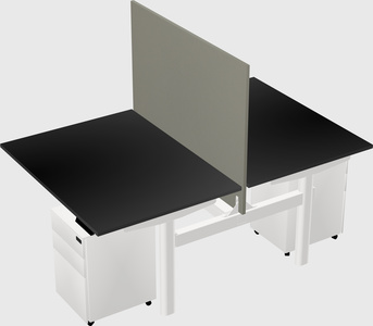 Shared electric desk