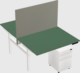 Shared electric desk