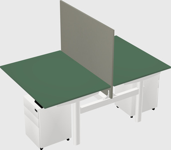 Shared electric desk