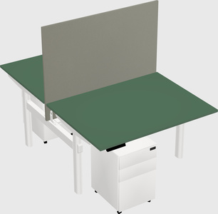 Shared electric desk