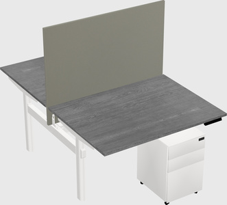 Shared electric desk