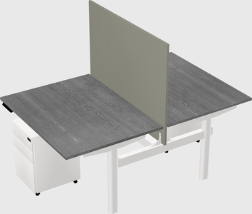 Shared electric desk