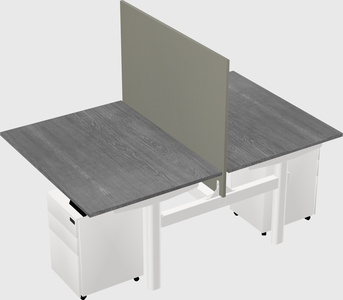 Shared electric desk