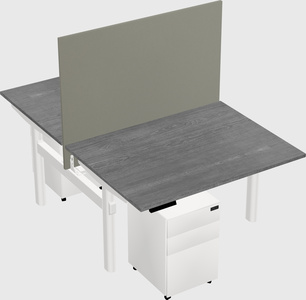 Shared electric desk