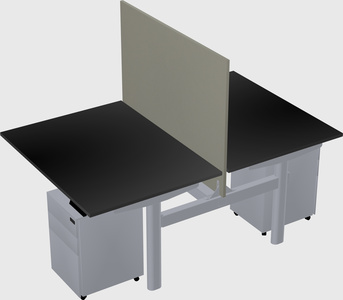 Shared electric desk