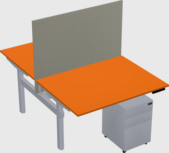 Shared electric desk