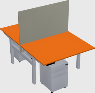 Shared electric desk