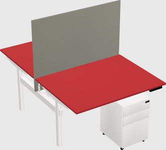 Shared electric desk