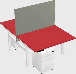 Shared electric desk