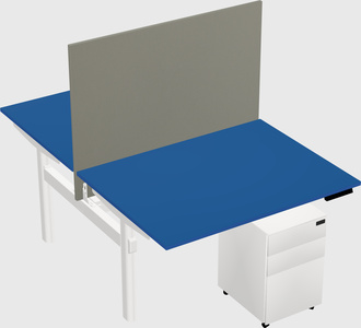 Shared electric desk
