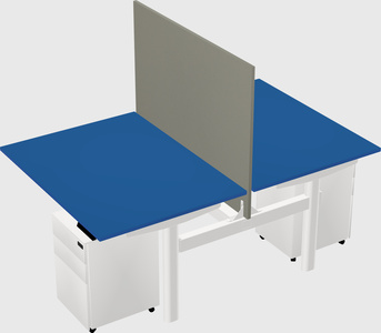 Shared electric desk