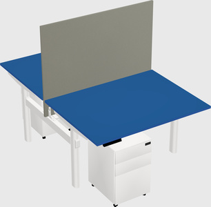 Shared electric desk