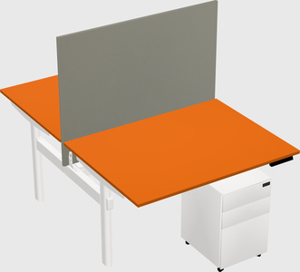 Shared electric desk