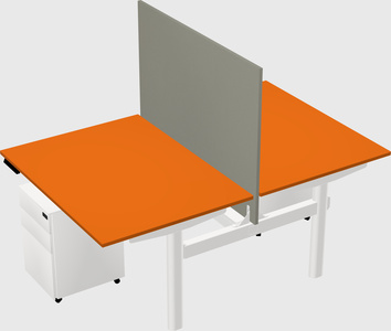 Shared electric desk