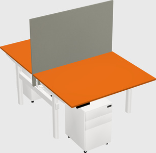 Shared electric desk