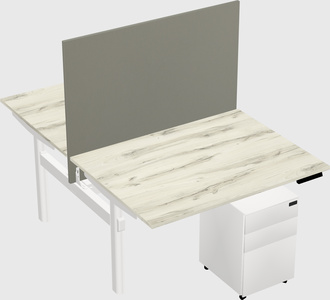 Shared electric desk