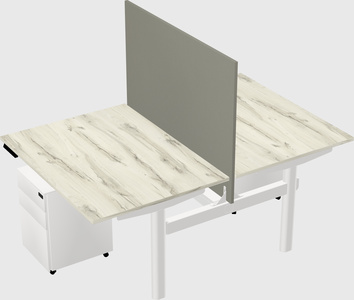 Shared electric desk