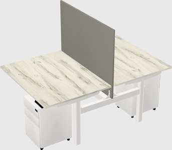 Shared electric desk
