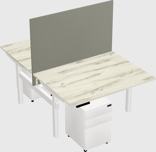 Shared electric desk