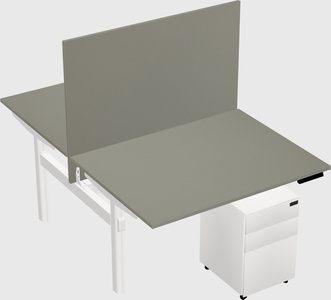 Shared electric desk
