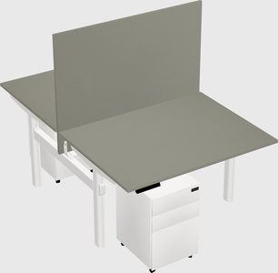 Shared electric desk