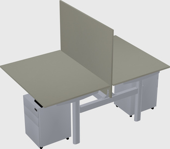 Shared electric desk