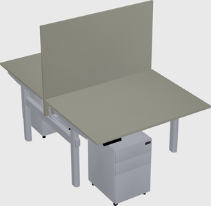 Shared electric desk