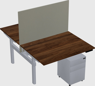 Shared electric desk