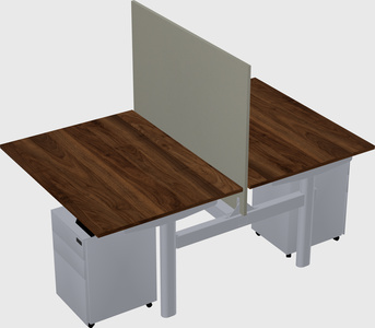 Shared electric desk