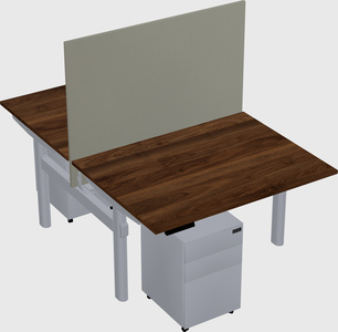 Shared electric desk