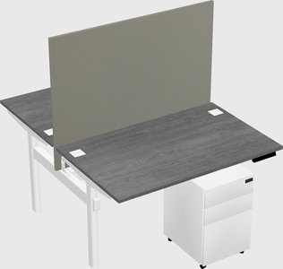 Shared electric desk
