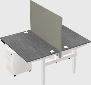 Shared electric desk