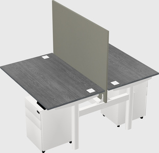Shared electric desk