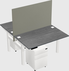 Shared electric desk