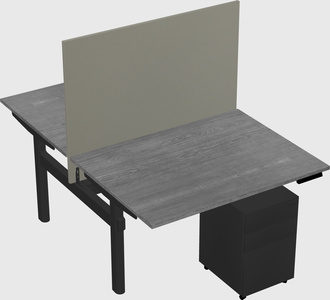 Shared electric desk