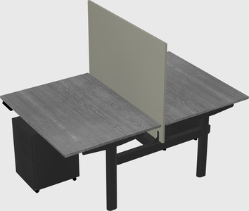 Shared electric desk