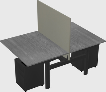 Shared electric desk